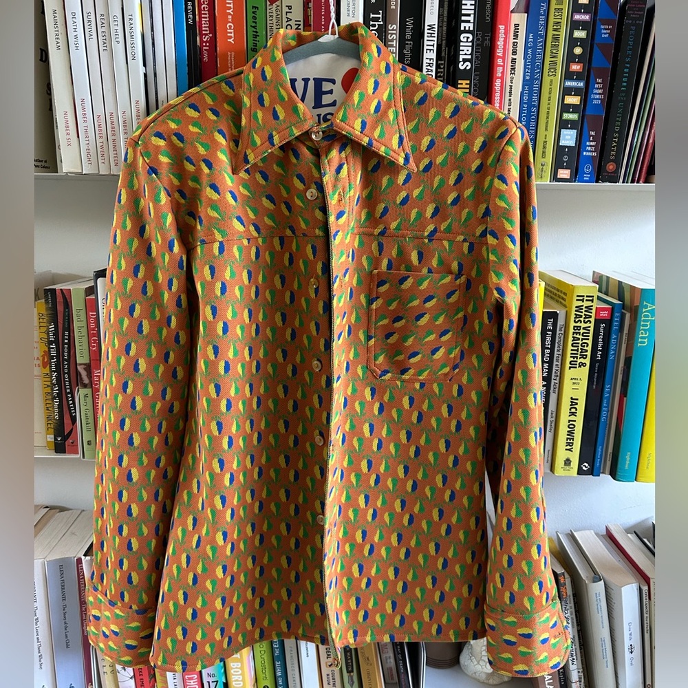 Vintage “Zorba” brand pear print button-up top with pointy collar